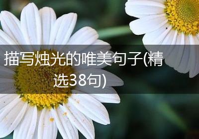 描写烛光的唯美句子(精选38句)