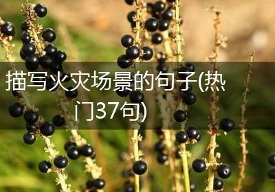 描写火灾场景的句子(热门37句)