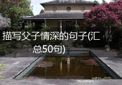 描写父子情深的句子(汇总50句)
