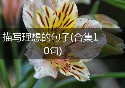 描写理想的句子(合集10句)