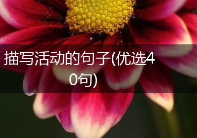描写活动的句子(优选40句)