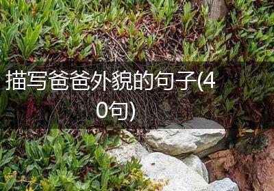 描写爸爸外貌的句子(40句)