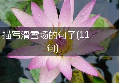描写滑雪场的句子(11句)