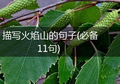 描写火焰山的句子(必备11句)
