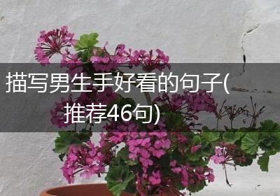 描写男生手好看的句子(推荐46句)