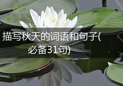 描写秋天的词语和句子(必备31句)