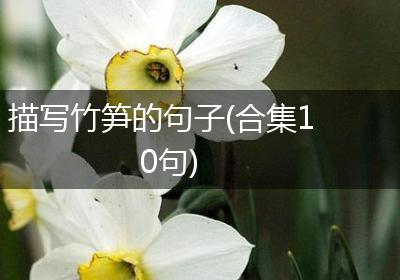 描写竹笋的句子(合集10句)