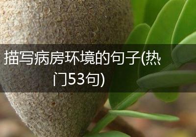 描写病房环境的句子(热门53句)