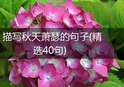 描写秋天萧瑟的句子(精选40句)