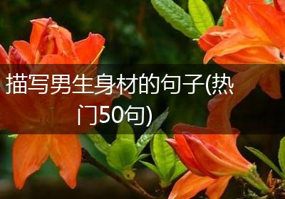 描写男生身材的句子(热门50句)