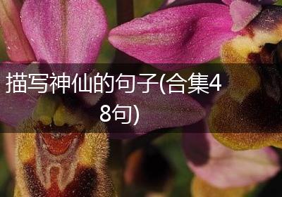 描写神仙的句子(合集48句)