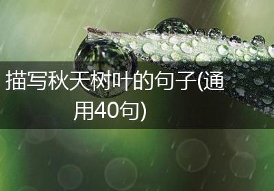 描写秋天树叶的句子(通用40句)