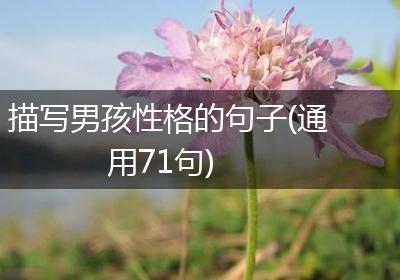 描写男孩性格的句子(通用71句)