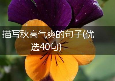 描写秋高气爽的句子(优选40句)