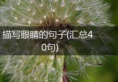 描写眼睛的句子(汇总40句)