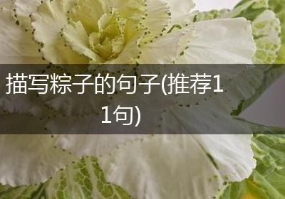 描写粽子的句子(推荐11句)