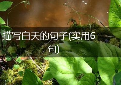描写白天的句子(实用6句)