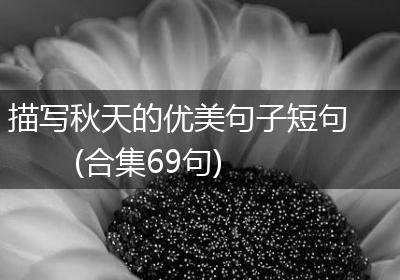 描写秋天的优美句子短句(合集69句)