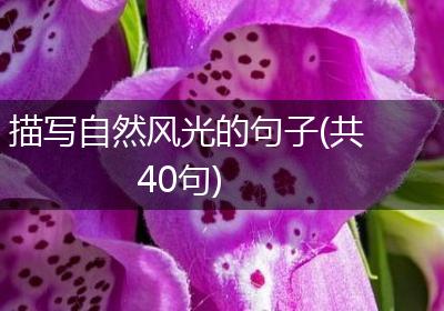 描写自然风光的句子(共40句)