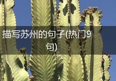 描写苏州的句子(热门9句)