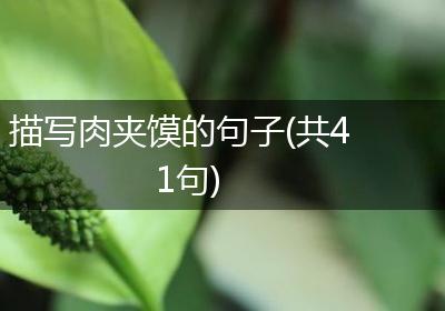 描写肉夹馍的句子(共41句)