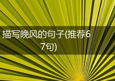 描写晚风的句子(推荐67句)