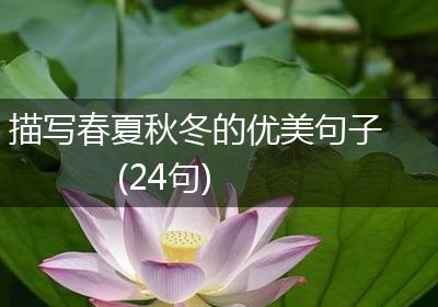 描写春夏秋冬的优美句子(24句)