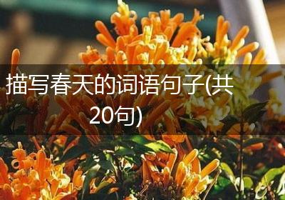 描写春天的词语句子(共20句)