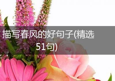 描写春风的好句子(精选51句)