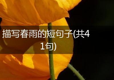 描写春雨的短句子(共41句)