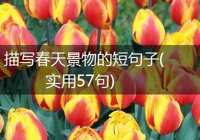 描写春天景物的短句子(实用57句)
