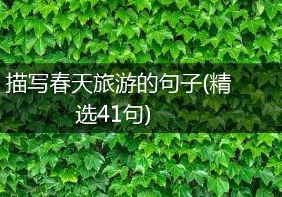 描写春天旅游的句子(精选41句)