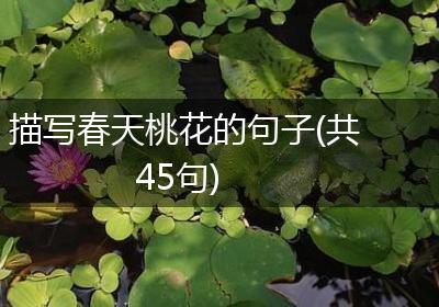 描写春天桃花的句子(共45句)