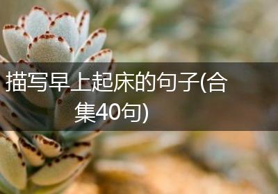 描写早上起床的句子(合集40句)