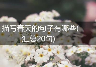 描写春天的句子有哪些(汇总20句)