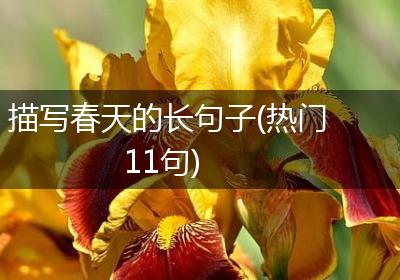 描写春天的长句子(热门11句)