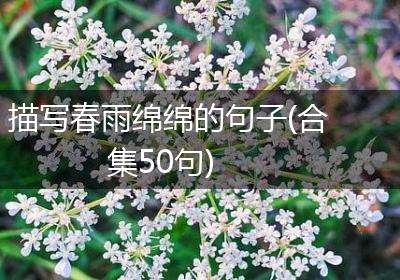 描写春雨绵绵的句子(合集50句)