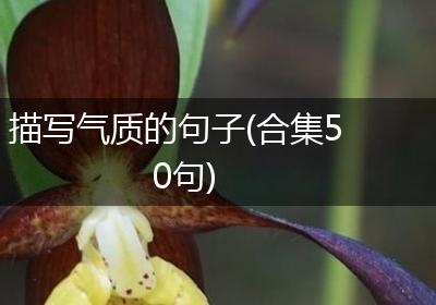 描写气质的句子(合集50句)