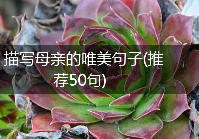 描写母亲的唯美句子(推荐50句)