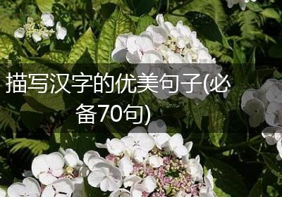 描写汉字的优美句子(必备70句)