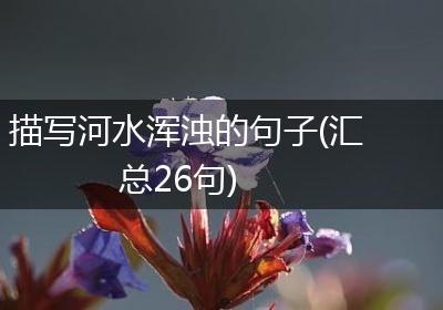 描写河水浑浊的句子(汇总26句)
