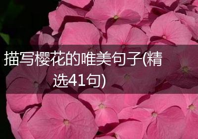 描写樱花的唯美句子(精选41句)