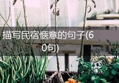 描写民宿惬意的句子(60句)