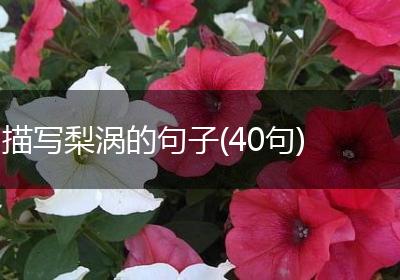 描写梨涡的句子(40句)