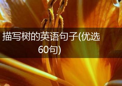 描写树的英语句子(优选60句)