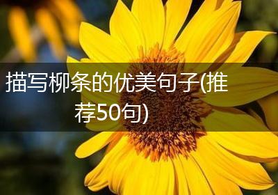 描写柳条的优美句子(推荐50句)