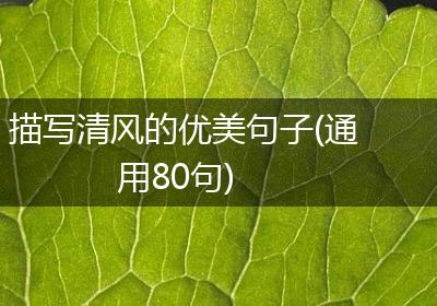 描写清风的优美句子(通用80句)
