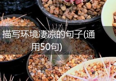 描写环境凄凉的句子(通用50句)