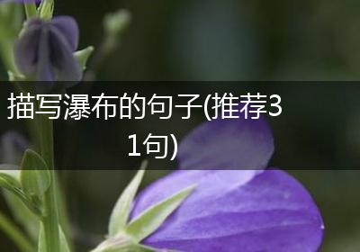 描写瀑布的句子(推荐31句)