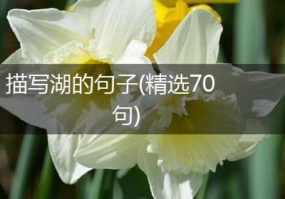 描写湖的句子(精选70句)